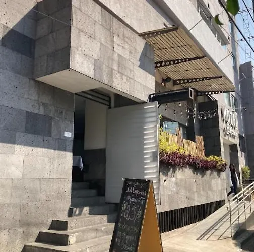 California Cdmx Hotel